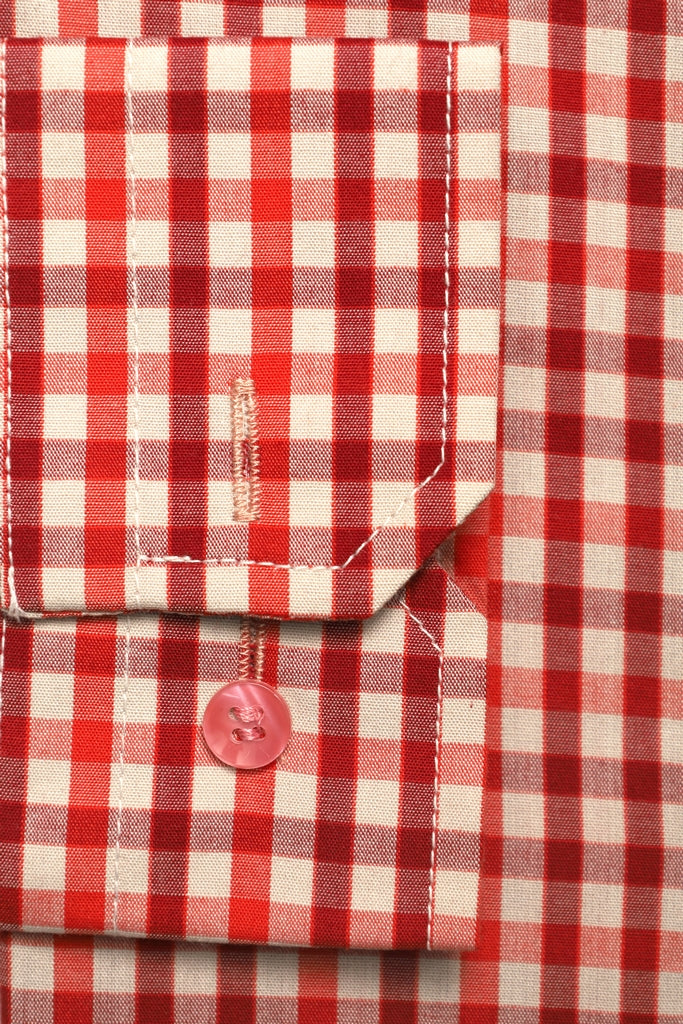 Punjab House Classic Red Gingham Formal Check Shirt